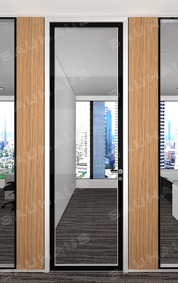 Hidden frame system door